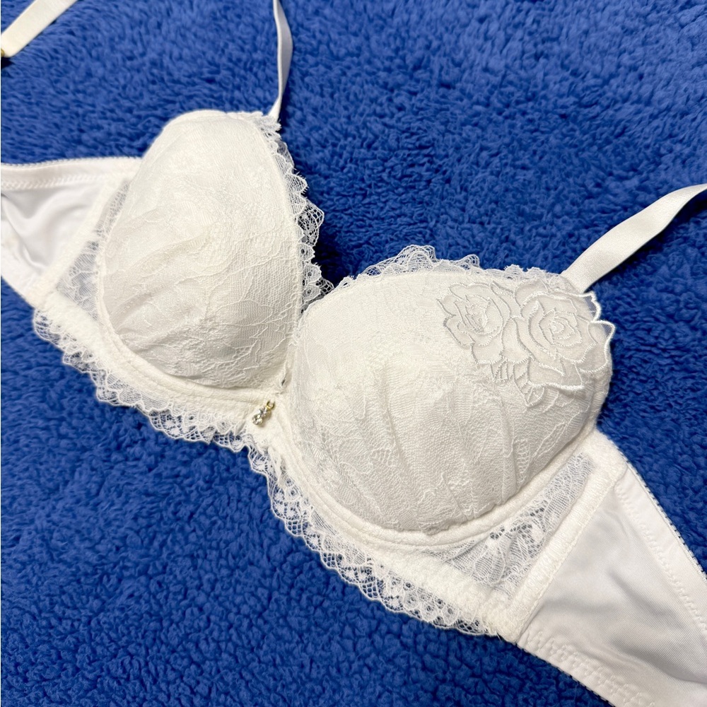 US-34B/JP-D75 Japanese Brand Floral Embroidery Push Up Bra And Panty Bikini Set - Picture 3 of 16